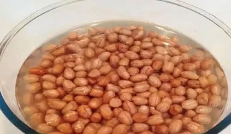 Soaked Peanuts