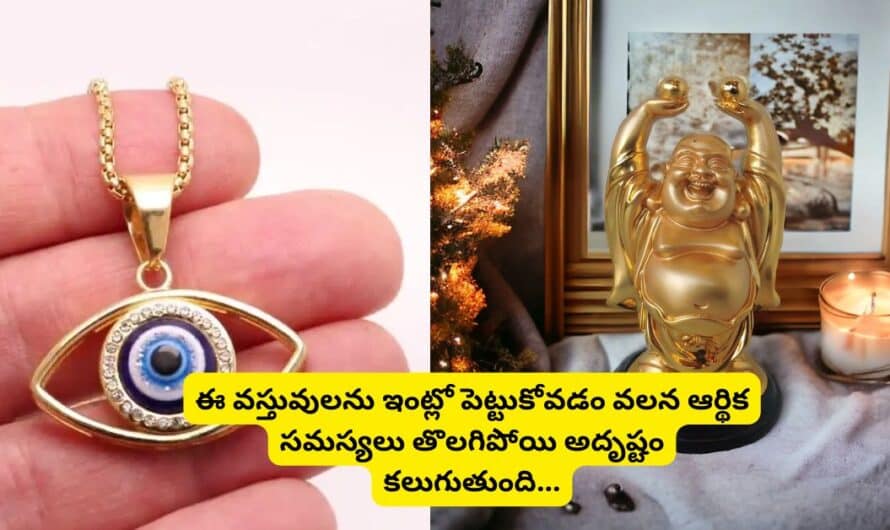 Vastu Tips: ఈ వస్తువులను ఇంట్లో పెట్టుకోవడం వలన ఆర్థిక సమస్యలు తొలగిపోయి అదృష్టం కలుగుతుంది.!