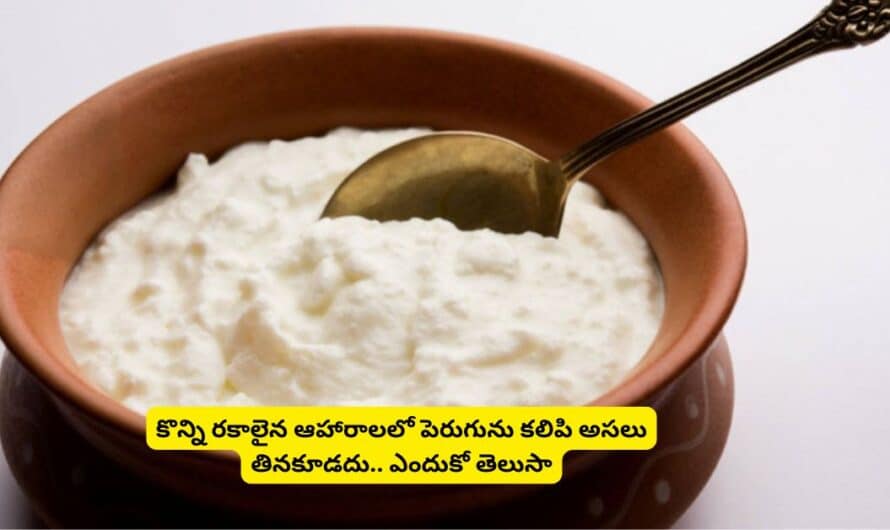 Curd Combination Foods: కొన్ని రకాలైన ఆహారాలలో పెరుగును కలిపి అసలు తినకూడదు… ఎందుకో తెలుసా.!