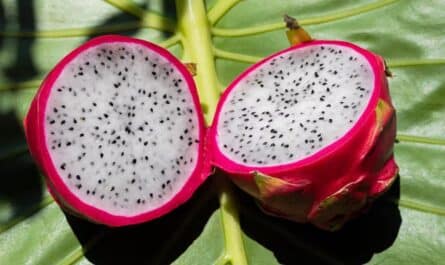 Dragon Fruit