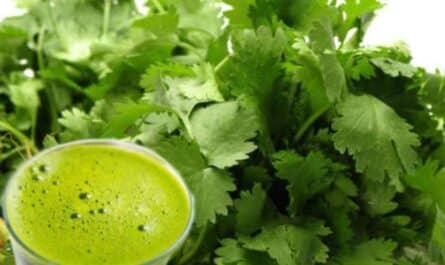 Coriander Juice Benefits